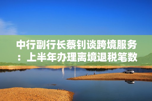 中行副行长蔡钊谈跨境服务：上半年办理离境退税笔数同比增超400%