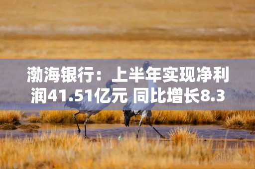 渤海银行：上半年实现净利润41.51亿元 同比增长8.37%