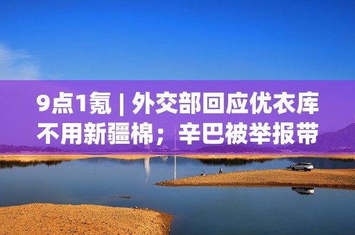 9点1氪 | 外交部回应优衣库不用新疆棉；辛巴被举报带货涉虚假宣传；上海将修订“沪牌”拍卖规定