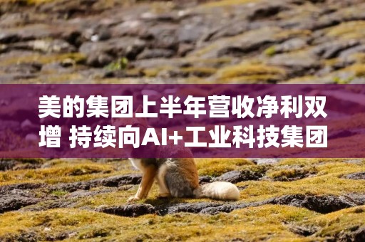 美的集团上半年营收净利双增 持续向AI+工业科技集团转型