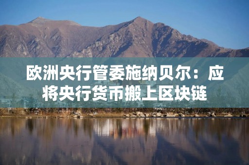 欧洲央行管委施纳贝尔：应将央行货币搬上区块链