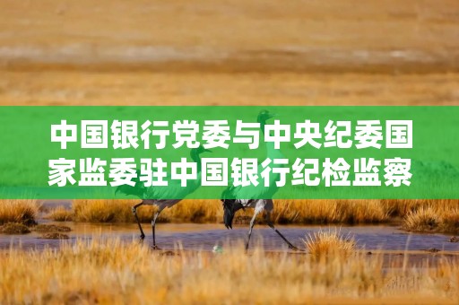 中国银行党委与中央纪委国家监委驻中国银行纪检监察组召开专题会商会议