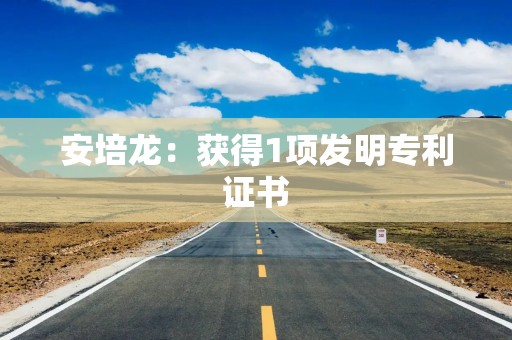 安培龙：获得1项发明专利证书