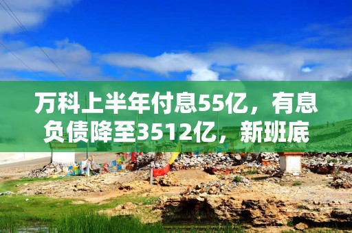 万科上半年付息55亿，有息负债降至3512亿，新班底憋着劲儿