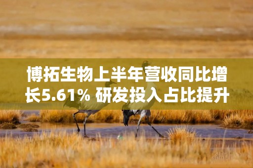 博拓生物上半年营收同比增长5.61% 研发投入占比提升至23.86%