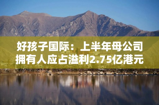 好孩子国际：上半年母公司拥有人应占溢利2.75亿港元 同比增长161.1%
