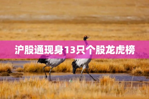 沪股通现身13只个股龙虎榜