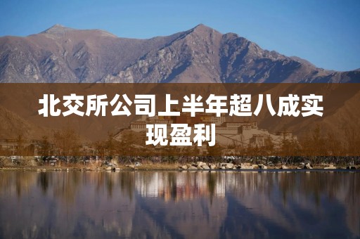 北交所公司上半年超八成实现盈利