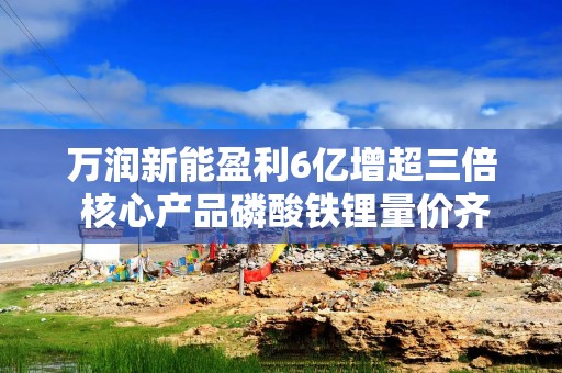 万润新能盈利6亿增超三倍 核心产品磷酸铁锂量价齐升