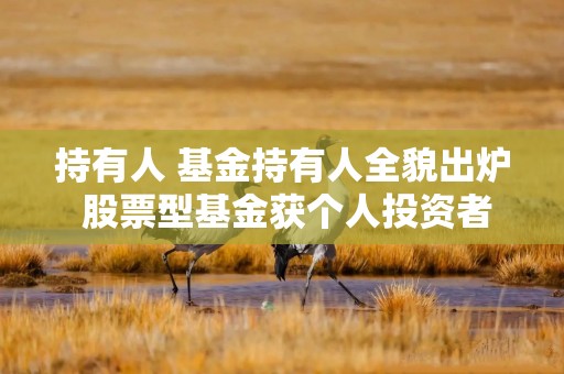 持有人 基金持有人全貌出炉 股票型基金获个人投资者增持