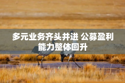 多元业务齐头并进 公募盈利能力整体回升