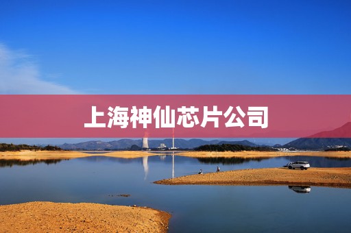 上海神仙芯片公司
