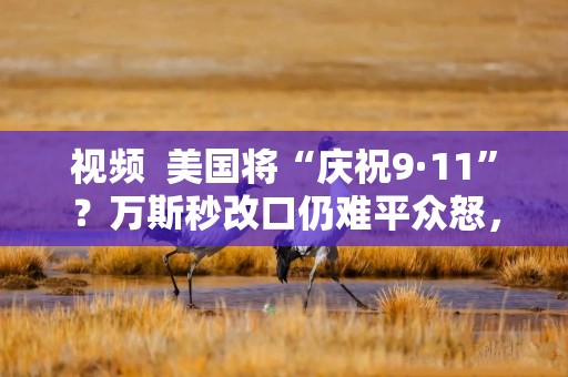 视频  美国将“庆祝9·11”？万斯秒改口仍难平众怒，美网民：你庆祝了25年吗