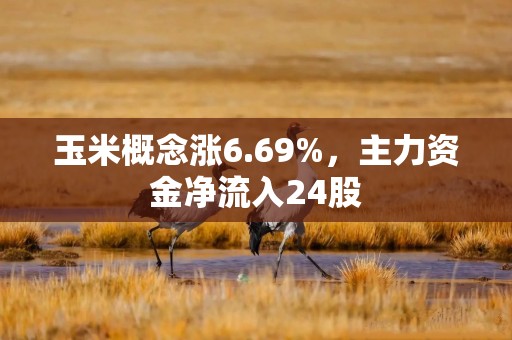 玉米概念涨6.69%，主力资金净流入24股