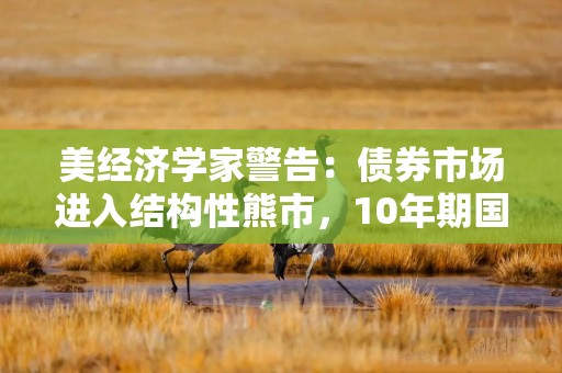 美经济学家警告：债券市场进入结构性熊市，10年期国债收益率或将升破8%