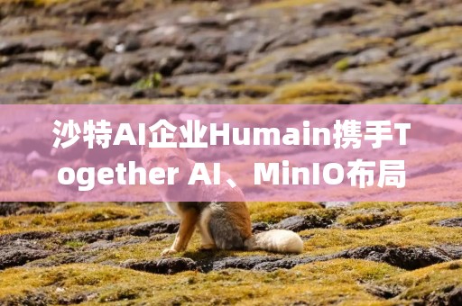 沙特AI企业Humain携手Together AI、MinIO布局数据中心