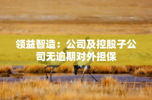 领益智造：公司及控股子公司无逾期对外担保