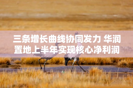 三条增长曲线协同发力 华润置地上半年实现核心净利润101.6亿元