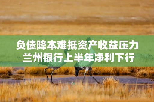 负债降本难抵资产收益压力 兰州银行上半年净利下行8.95%