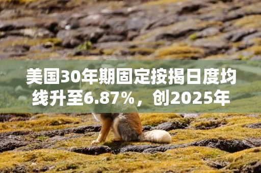 美国30年期固定按揭日度均线升至6.87%，创2025年6月以来新高