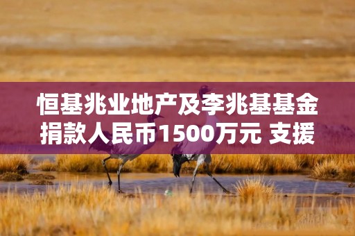 恒基兆业地产及李兆基基金捐款人民币1500万元 支援西藏吉隆县救援工作