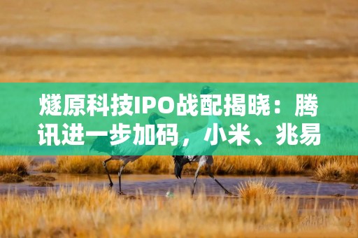 燧原科技IPO战配揭晓：腾讯进一步加码，小米、兆易、中兴、华虹也来了