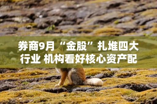 券商9月“金股”扎堆四大行业 机构看好核心资产配置价值