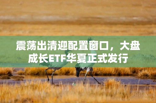 震荡出清迎配置窗口，大盘成长ETF华夏正式发行