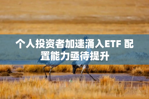 个人投资者加速涌入ETF 配置能力亟待提升