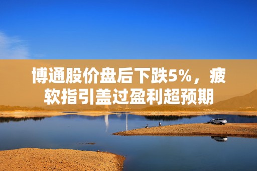 博通股价盘后下跌5%，疲软指引盖过盈利超预期