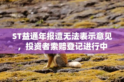 ST益通年报遭无法表示意见，投资者索赔登记进行中
