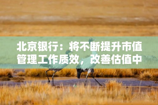北京银行：将不断提升市值管理工作质效，改善估值中枢偏低问题