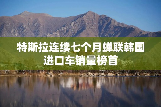 特斯拉连续七个月蝉联韩国进口车销量榜首
