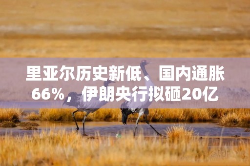 里亚尔历史新低、国内通胀66%，伊朗央行拟砸20亿美元救汇，行长称外汇足够
