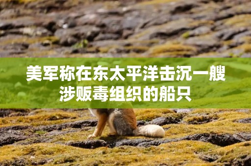 美军称在东太平洋击沉一艘涉贩毒组织的船只