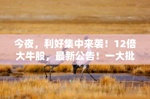 今夜，利好集中来袭！12倍大牛股，最新公告！一大批A股公司业绩出炉，最高净利巨增1076%