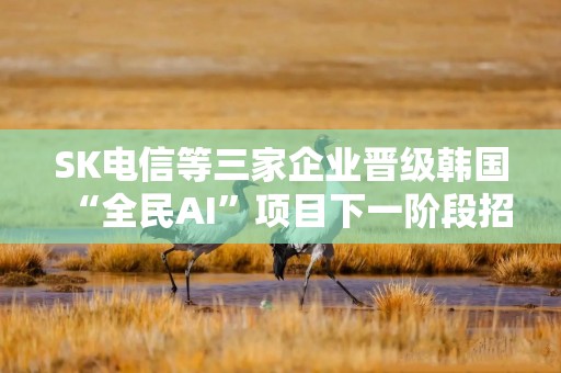 SK电信等三家企业晋级韩国“全民AI”项目下一阶段招标