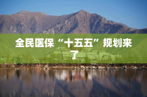 全民医保“十五五”规划来了