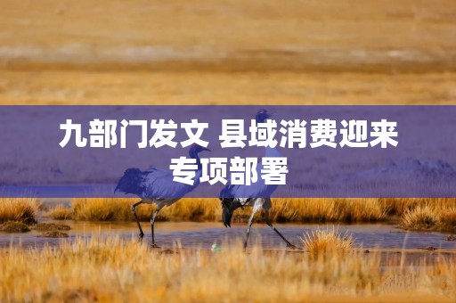 九部门发文 县域消费迎来专项部署