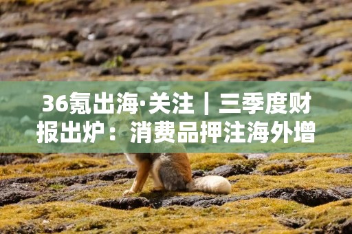 36氪出海·关注｜三季度财报出炉：消费品押注海外增量，电动“新势力”逐鹿中东