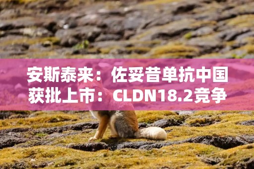 安斯泰来：佐妥昔单抗中国获批上市：CLDN18.2竞争激烈
