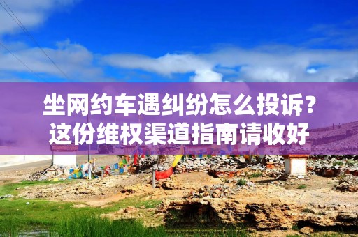 坐网约车遇纠纷怎么投诉？这份维权渠道指南请收好