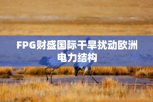 FPG财盛国际干旱扰动欧洲电力结构