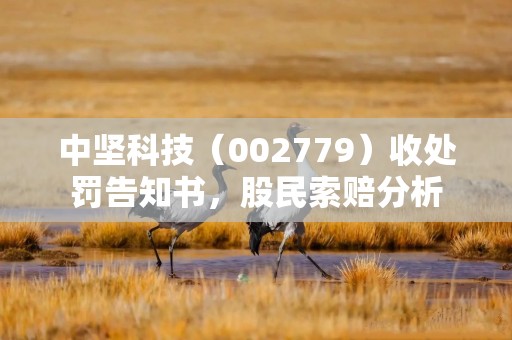 中坚科技（002779）收处罚告知书，股民索赔分析