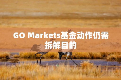 GO Markets基金动作仍需拆解目的