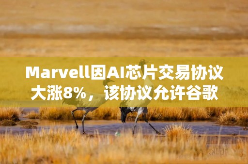 Marvell因AI芯片交易协议大涨8%，该协议允许谷歌购买至多122亿美元股份