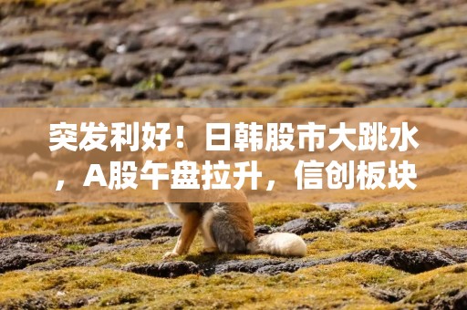 突发利好！日韩股市大跳水，A股午盘拉升，信创板块爆发
