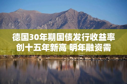 德国30年期国债发行收益率创十五年新高 明年融资需求料大幅攀升