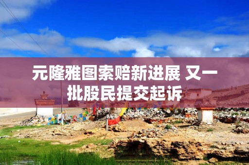 元隆雅图索赔新进展 又一批股民提交起诉