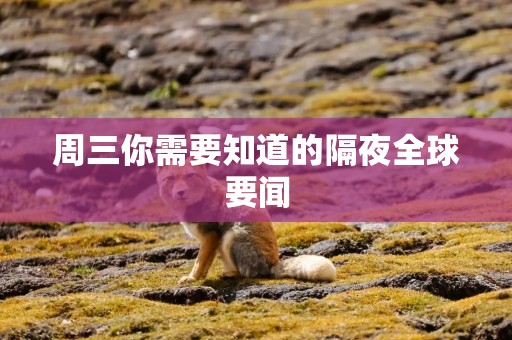 周三你需要知道的隔夜全球要闻